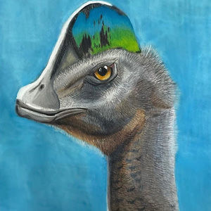 Meet your Posher, Jayden